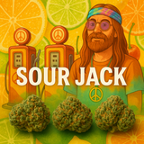 THCA Hemp Flower - Exotic Indoor - 3.5 grams