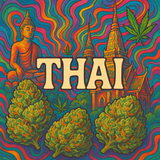 THCA Hemp Preroll - Exotic Indoor - 1 gram