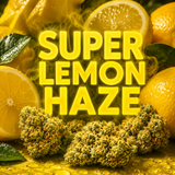 THCA Hemp Flower - 3.5g