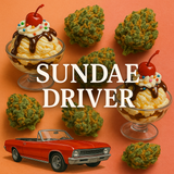 THCA Hemp Flower - Hybrid - 3.5 grams