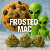 THCA Hemp Preroll - Hybrid - 1 gram