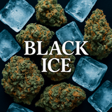 THCA Hemp Preroll - Indica - 1 gram