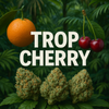 THCA Hemp Preroll - Sativa - 1 gram
