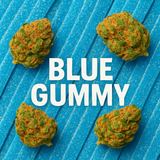 THCA Hemp Preroll - Indica - 1 gram