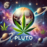 cannabis hemp strain pluto flower arcanna dispensary local near me charleston south carolina